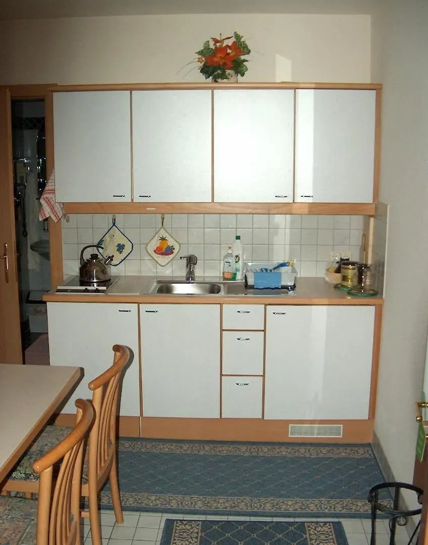 Fleger Appartements Vienna 0*,